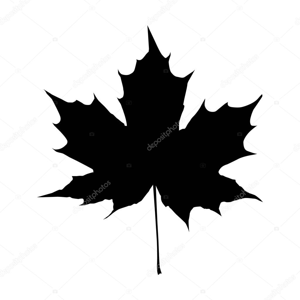 black maple leaf vector