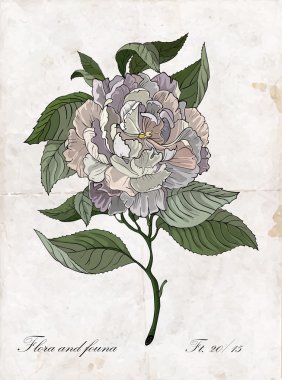 El çizim gül dalı.