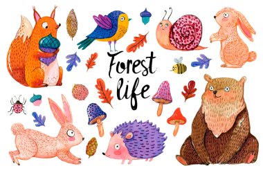 Orman hayvanları ve bitkilerin suluboya seti çizgi film tarzında. Beyaz arka planda, tavşanlar, kirpiler, salyangozlar, ayılar, kuşlar, sincaplar, mantarlar, yapraklar ve ağaçlarla izole edilmiş el çizimleri..