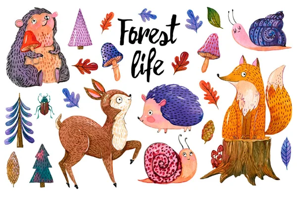卡通画风格的森林动植物水彩画集 在白色背景上与狐狸 树隔离的手绘插图 — 图库矢量图片