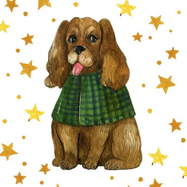 Beyaz arka planda izole edilmiş, atkı yakalı ve altın yıldızlı şirin bir köpek.