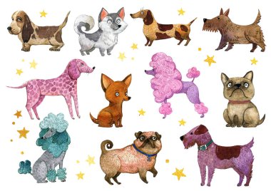 Suluboya köpek koleksiyonu, Köpek tırnak üretir. Çizgi film stilinde renkli şirin köpekler. Fransız bulldog, dalmaçyalı, chihuahua, dachshund, Laika, sevimli pug, terrier, kaniş köpeği..