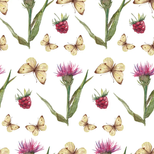 Beyaz Arka Planda Botanik Desen Çiziyor Suluboya Böğürtlen Bitki Kelebek — Stok fotoğraf