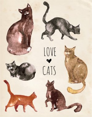 Suluboya kediler kümesi.