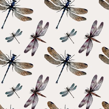 Suluboya yusufçuk seamless modeli