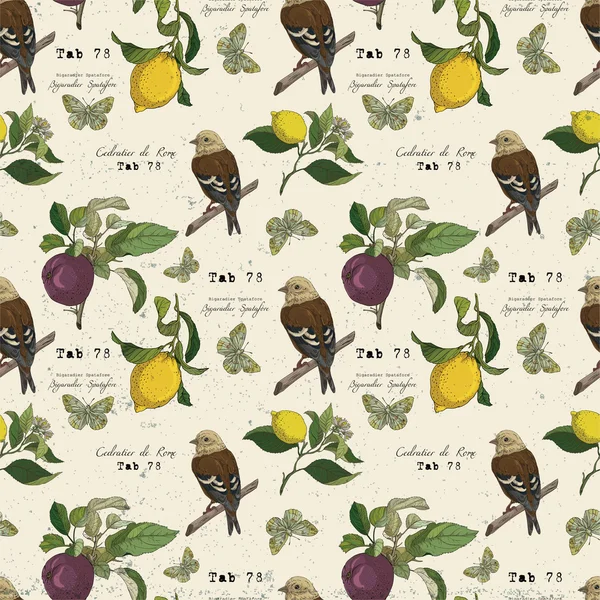 Kuşlar ve limon ile botanik desen — Stok Vektör