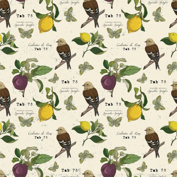 Botanical pattern with birds and lemons Royalty Free Stock Illustrations