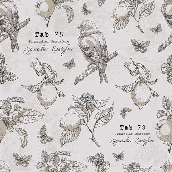Botanical pattern with birds and lemons Royalty Free Stock Illustrations