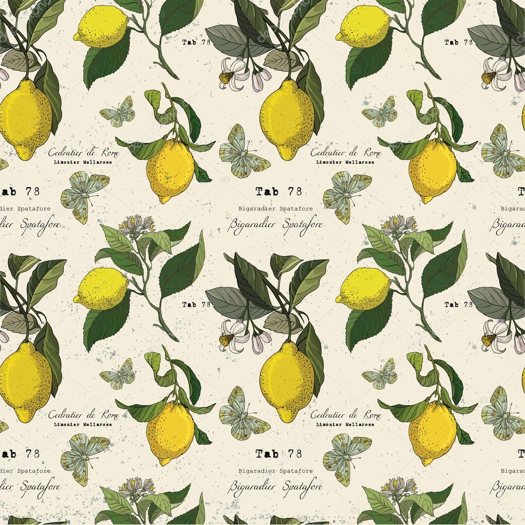 Pattern with lemon branches.