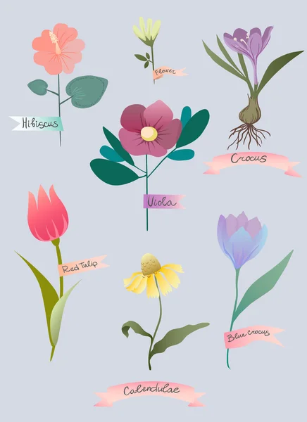 Conjunto de flores primavera — Vector de stock