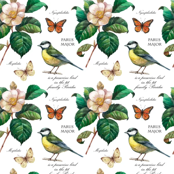 꽃과 새와 패턴. — 스톡 벡터