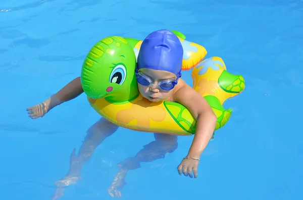 Liten jente i svømmebassenget med en gummiling . – stockfoto