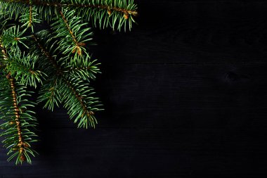 Noel arkaplanı: Siyah arka plan manzaralı bir Noel ağacının dalları ve metin için fotokopi alanı. Yeni yıl kavramı.