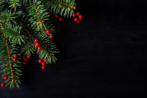 크리스마스 어두운 크리스마스 트리의 가지들은 여러분의 텍스트를 수있는 공간을 있습니다 — 스톡 사진