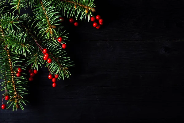 Noel arkaplanı: Siyah arka plan manzaralı bir Noel ağacının dalları ve metin için fotokopi alanı. Yeni yıl kavramı.