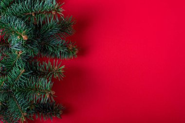 Noel arkaplanı: köknar dalları ve kırmızı arka planda boş alan kopyalamak. Yeni yıl afişi.