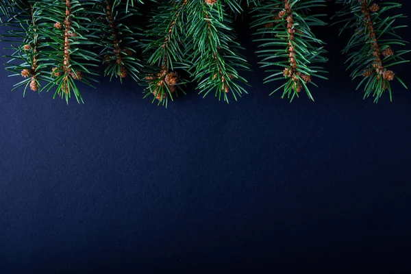크리스마스 전나무 가지들과 공간을 — 스톡 사진