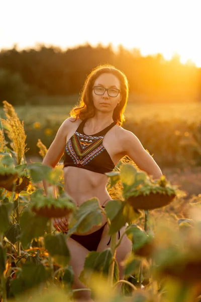 Jeune Femme Posant Parmi Les Tournesols Champ Tournesols Campagne — Photo