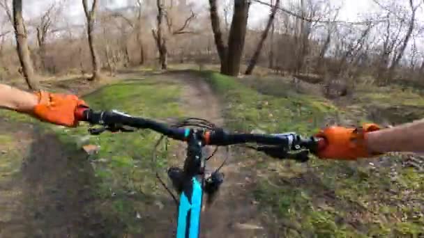 Cyklisten rider längs en skogsstig med hoppande hopp. Förstapersonsvy. — Stockvideo
