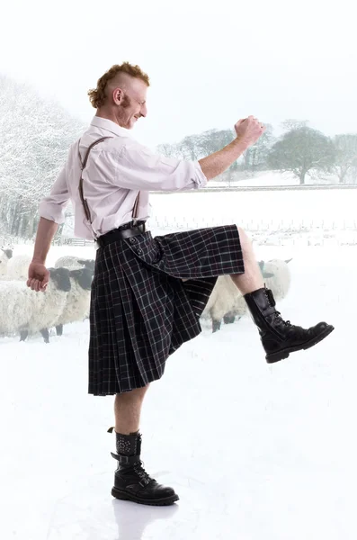 Смішні шотландець, ізольовані — стокове фото