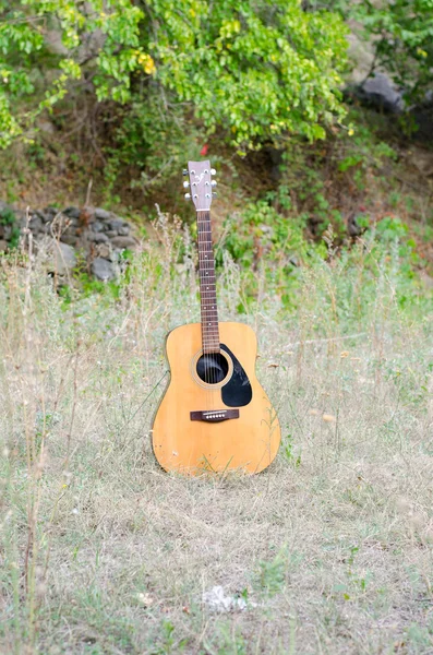 Akoestische gitaar op aard — Stockfoto