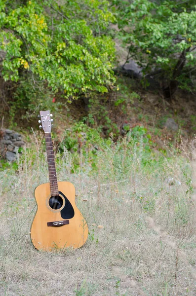 Akustická kytara v přírodě — Stock fotografie