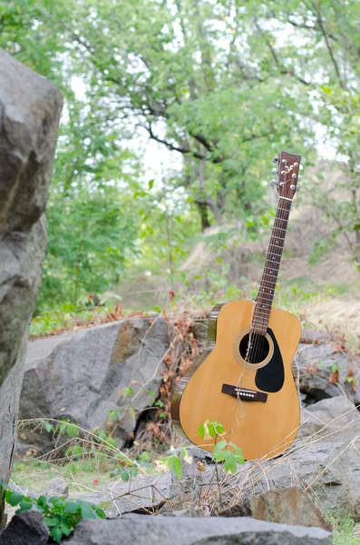 Acoustic guitar on nature — Stock Photo, Image