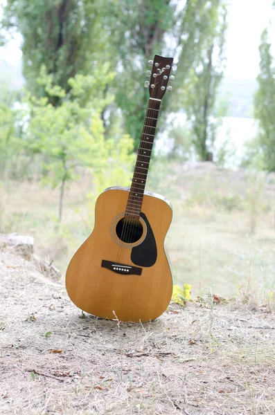 Chitarra acustica sulla natura — Foto Stock