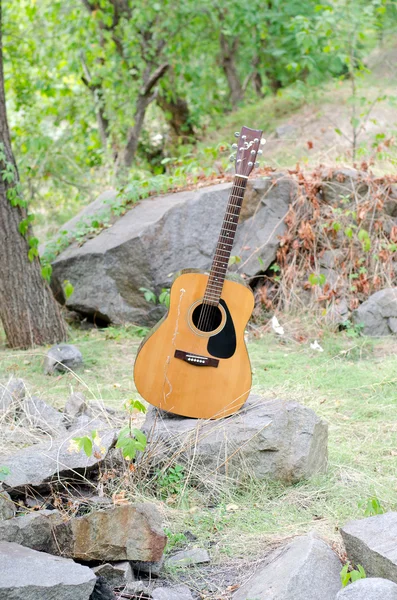 Acoustic guitar on nature — Stock Photo, Image