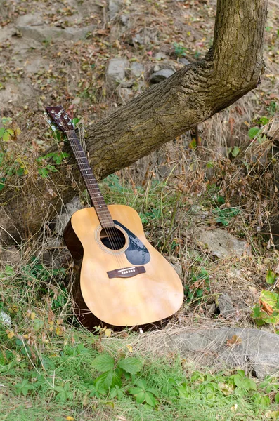 Akustik gitar bersandar pada pohon — Stok Foto