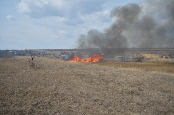 Fuego en el campo — Foto de Stock