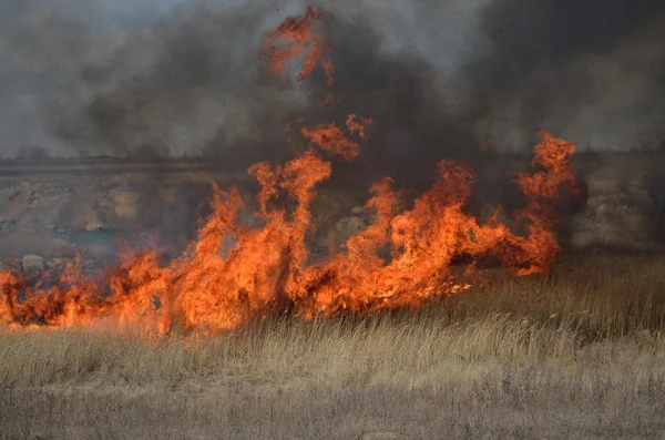 Fuego en el campo — Foto de Stock