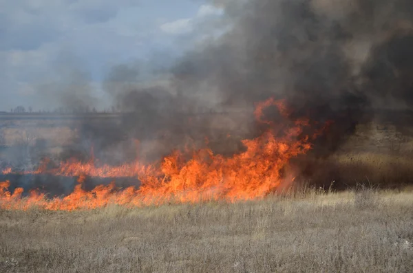 Fuego en el campo — Foto de Stock