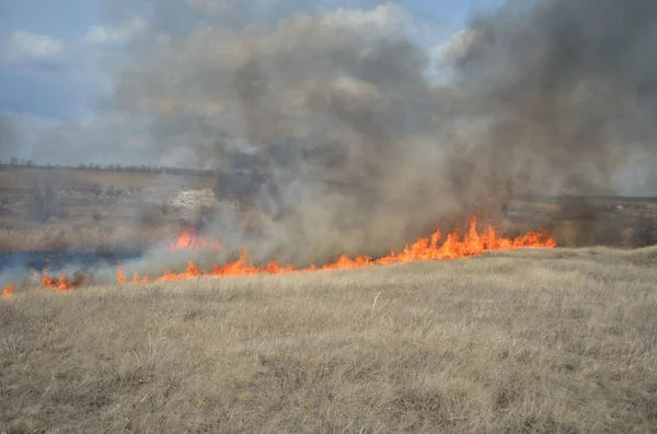 Fuego en el campo — Foto de Stock