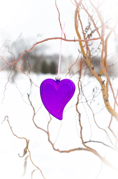 Corazón del día de San Valentín en una rama de árbol — Foto de Stock