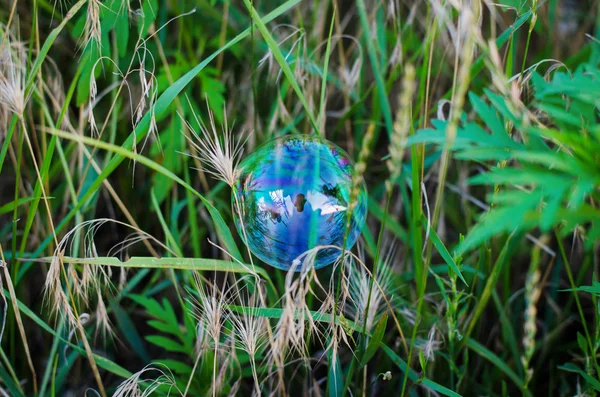 Burbuja de jabón sobre un fondo de hierba . — Foto de Stock