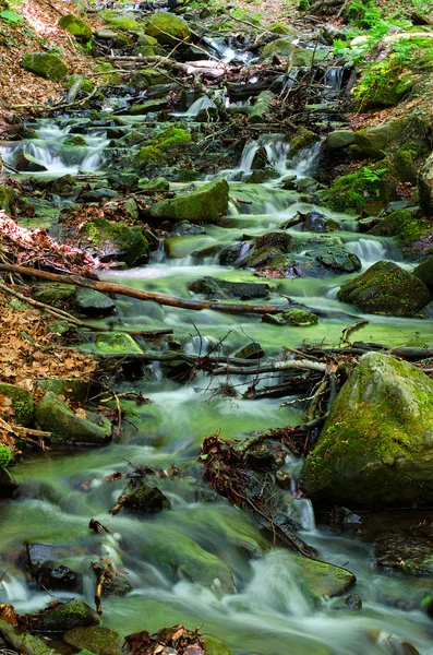 Górskie rzeki w lesie. — Zdjęcie stockowe