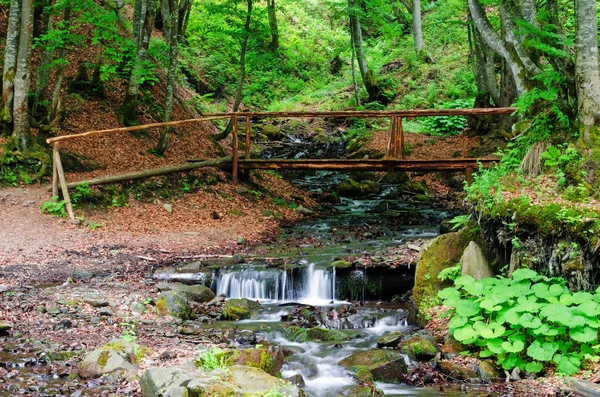 stock image A small wooden bridge over a mountain river