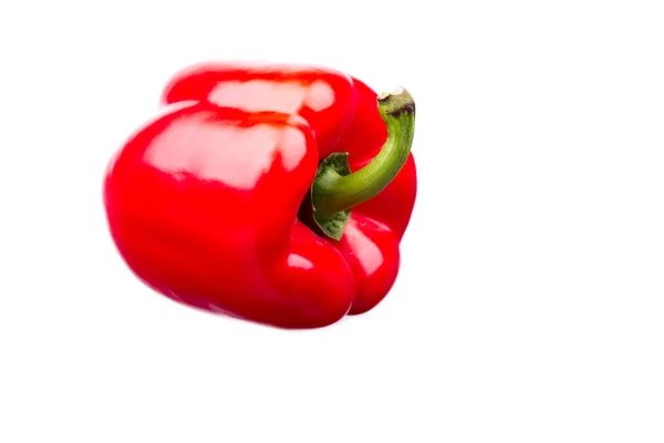 Red pepper isolated isolated on white background — Stock Photo, Image