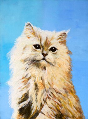 yağlı boya - çizim kedi, renkli resim, soyut dra