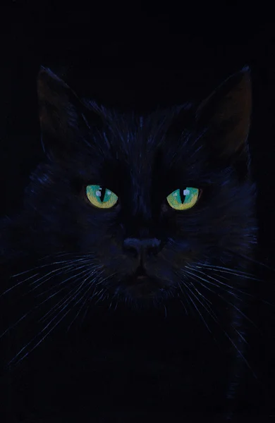 Drawing of a black cat, oil painting, cat's eyes — Stock Photo, Image