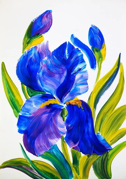 Cat cat air - buket iris pada latar belakang putih — Stok Foto