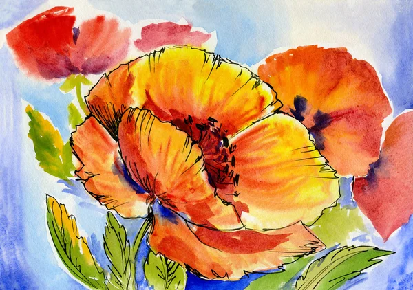 Watercolor painting of a bouquet of poppies — Stock Photo, Image