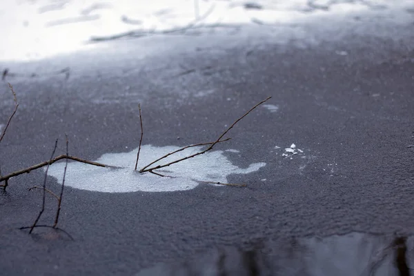 Een Takje Ligt Bevroren Water Winter Bewolkt — Stockfoto