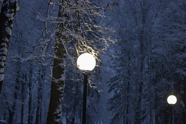 Twee Straatlantaarns Het Park Een Winteravond — Stockfoto