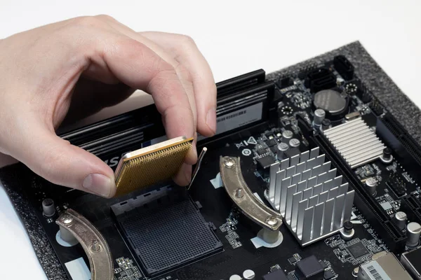 Bilgisayarın işlemcisini tamir ederken, el işlemciyi yükler..