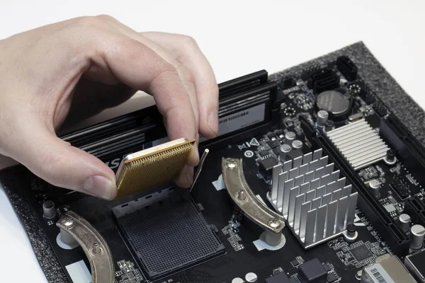 Repairing the computer's processor, the hand installs the processor.