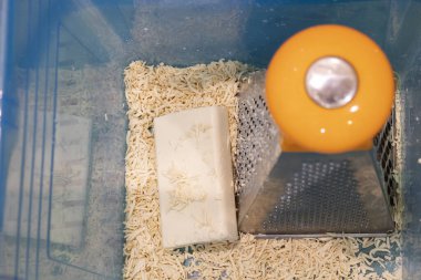 Çamaşır deterjanı yerine rendelenmiş bebek sabunu. Bulaşık makinesi ya da çamaşır deterjanı.