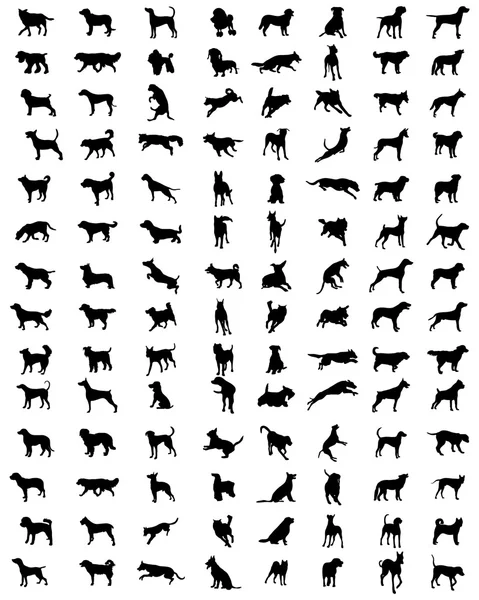 Silhouettes of dogs — Stock Vector