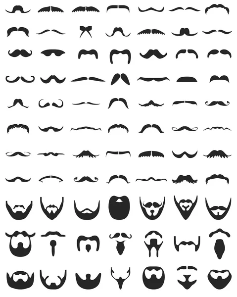 Beard and moustache — Stock Vector